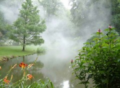 Wallpapers Nature Brume sur le Puy du Fou