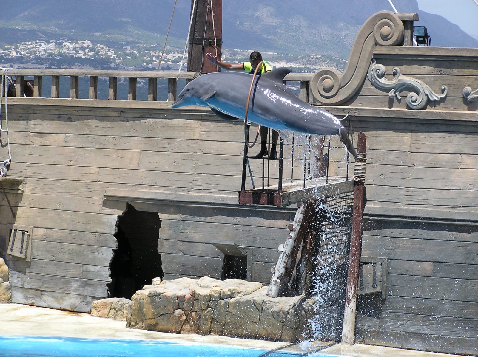 Fonds d'cran Animaux Vie marine - Dauphins Dauphins / Mundomar