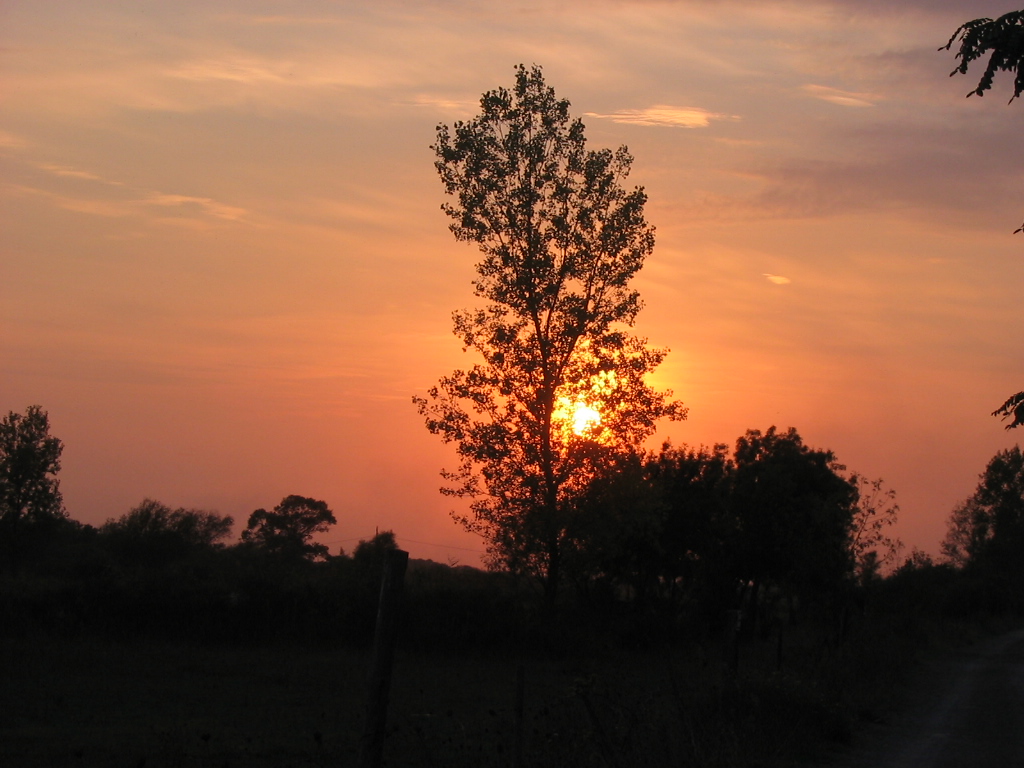 Wallpapers Nature Sunsets and sunrises Coucher de soleil sur le canal de midi