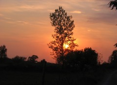 Fonds d'cran Nature Coucher de soleil sur le canal de midi