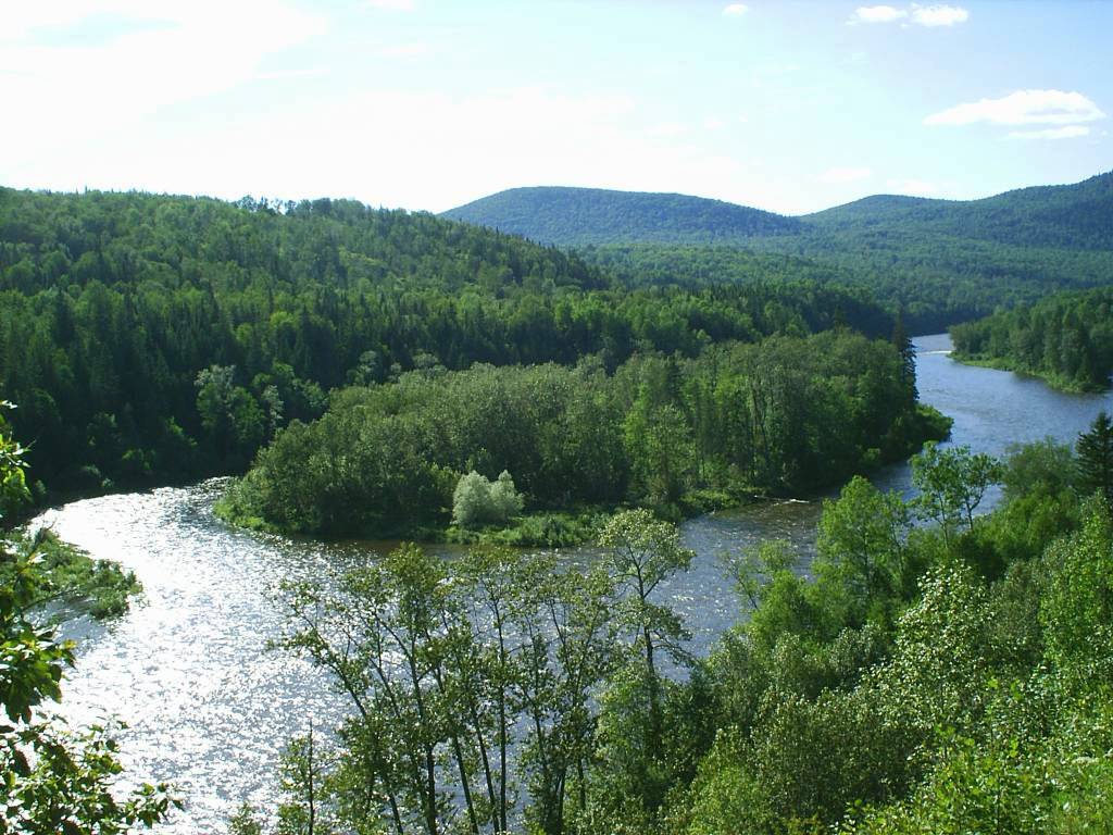 Wallpapers Nature Trees - Forests Au Qubec !