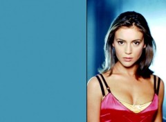 Fonds d'cran Clbrits Femme Alyssa Milano 2