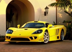 Fonds d'cran Voitures saleen