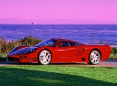 Wallpapers Cars saleen