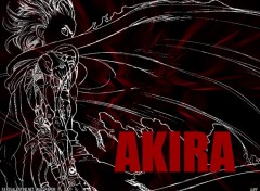 Fonds d'cran Manga akira