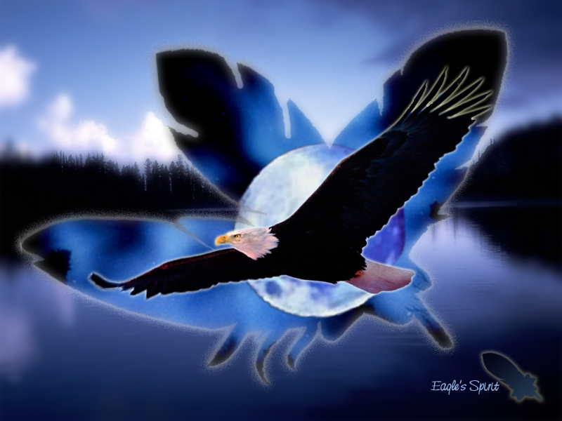 Wallpapers Animals Birds - Eagles eagle's spirit