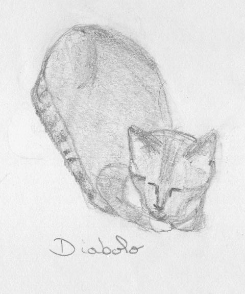 Wallpapers Art - Pencil Animals - Cats - Kittens Chat - Diabolo