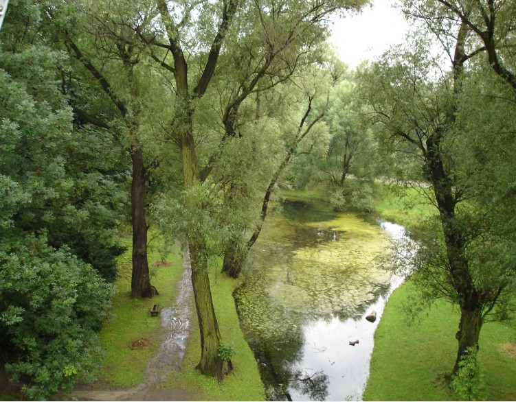 Fonds d'cran Nature Parcs - Jardins Chardon