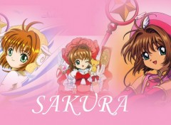 Wallpapers Manga Sakura