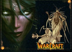 Wallpapers Video Games the night elves