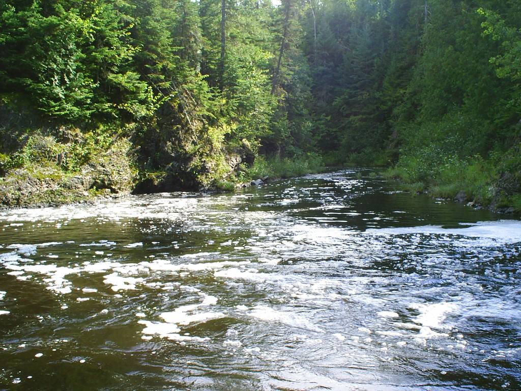 Fonds d'cran Nature Cascades - Chutes Au Qubec !