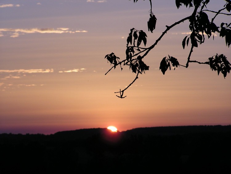 Fonds d'cran Nature Couchers et levers de Soleil coucher de soleil sur la sarthe