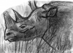 Fonds d'cran Art - Crayon Rhinoceros dans la savane