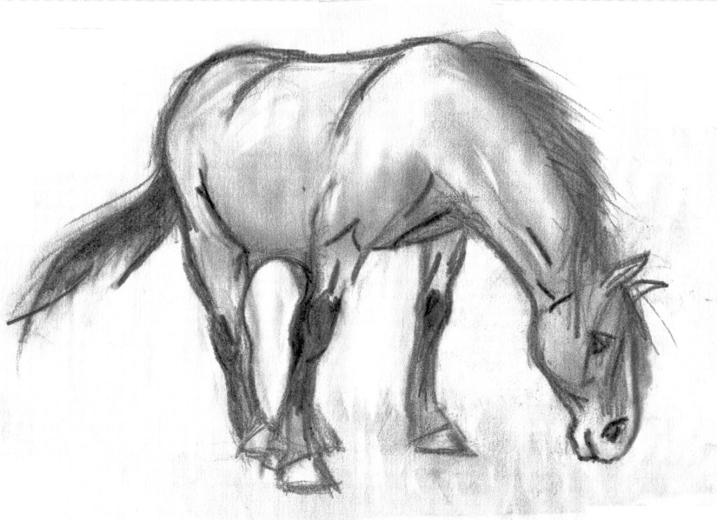 Wallpapers Art - Pencil Animals - Horses Cheval