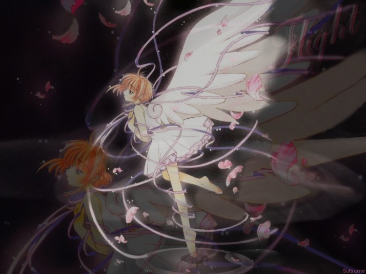 Wallpapers Manga Card Captor Sakura Sakura