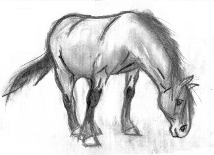 Wallpapers Art - Pencil Animals - Horses Cheval