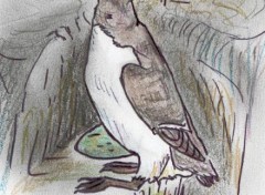 Fonds d'cran Art - Crayon Guillemot de Trol