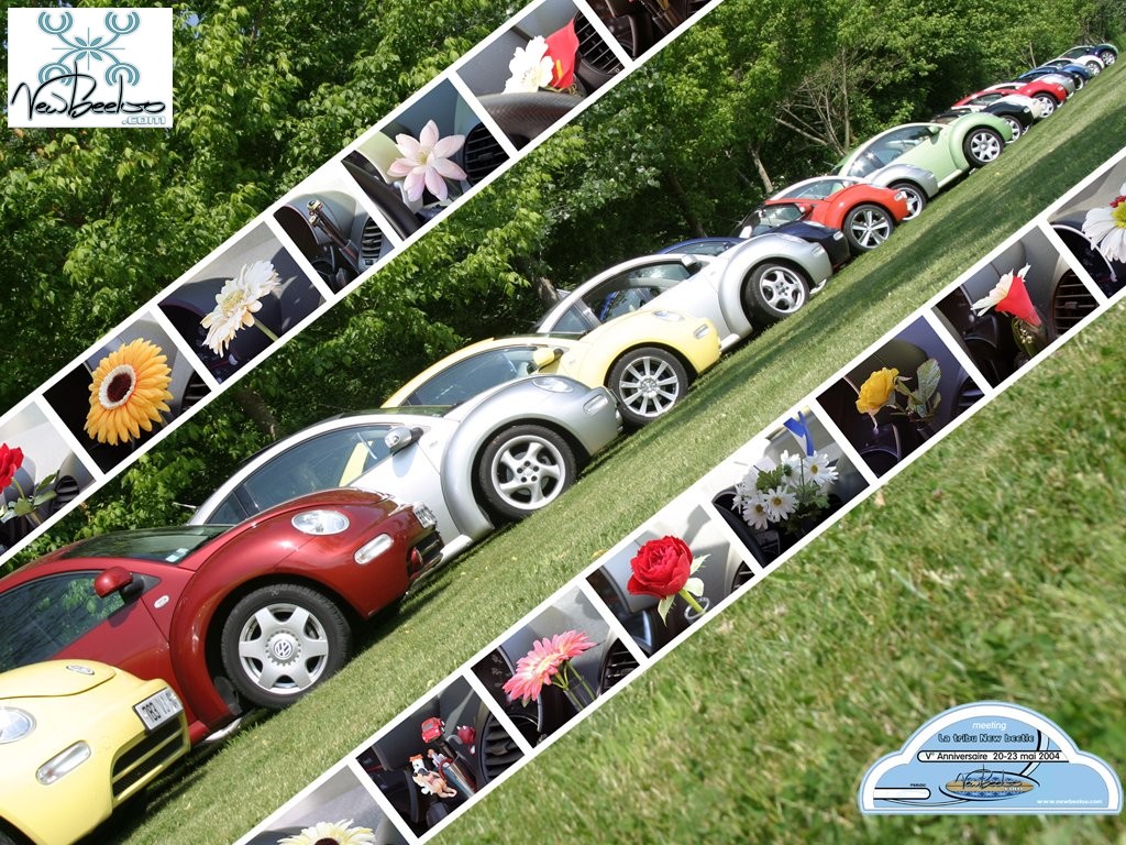 Wallpapers Cars Volkswagen NewBeeLoo