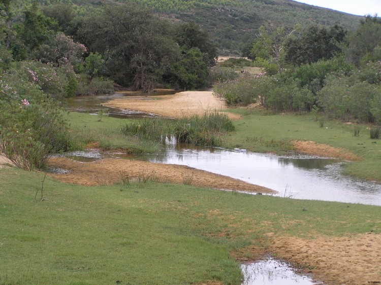 Wallpapers Nature Lakes - Ponds etang de tunisie