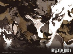 Wallpapers Video Games metal gear solid 3