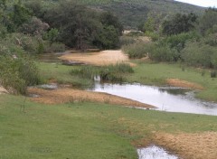 Fonds d'cran Nature etang de tunisie