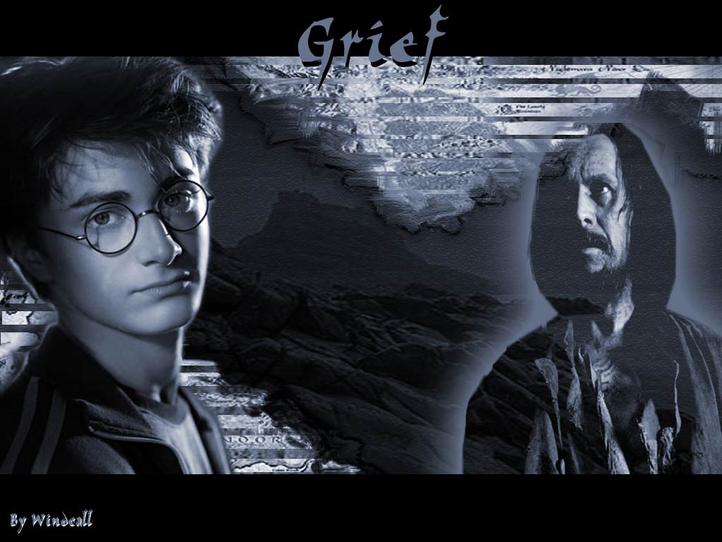 Wallpapers Movies Harry Potter and the Prisoner of Azkaban Grief