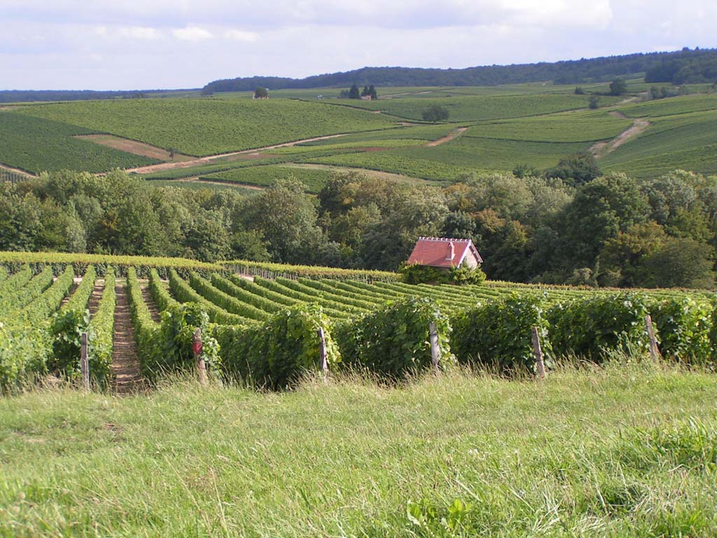 Fonds d'cran Nature Paysages sancerre