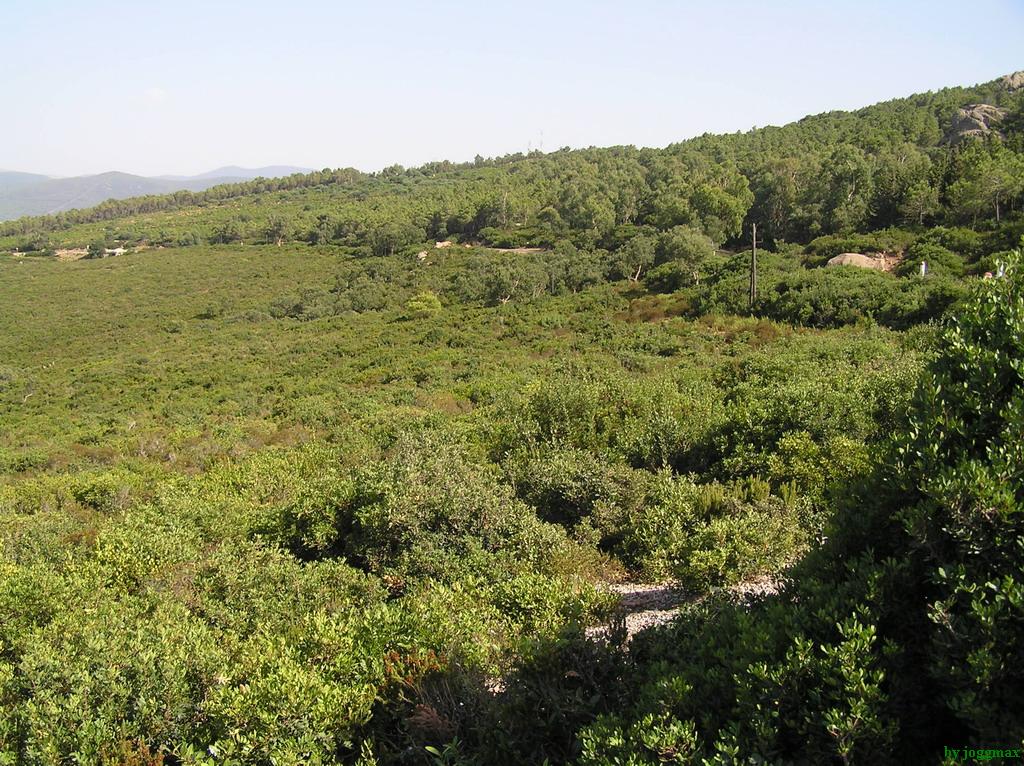 Fonds d'cran Nature Paysages verdure