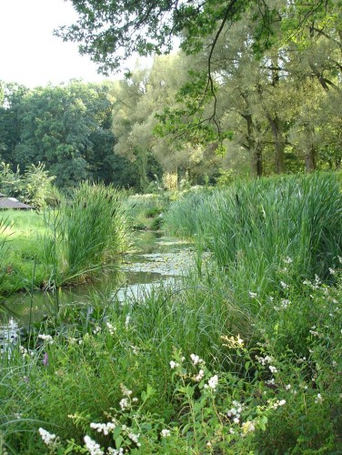 Fonds d'cran Nature Fleuves - Rivires - Torrents ruisseau