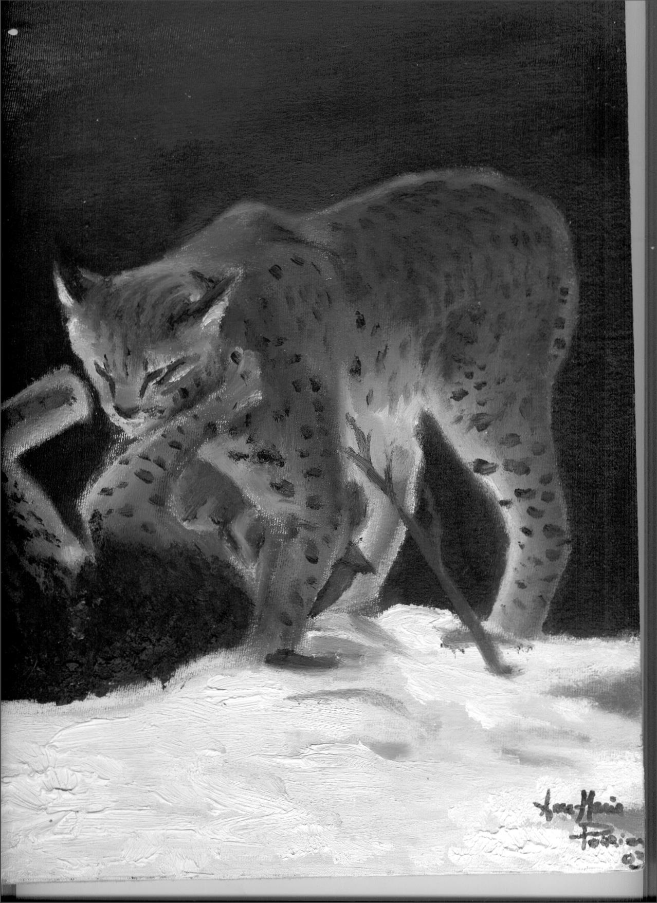 Wallpapers Art - Painting Animals petits lynx qui jouent  ensembles..