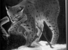 Fonds d'cran Art - Peinture petits lynx qui jouent  ensembles..