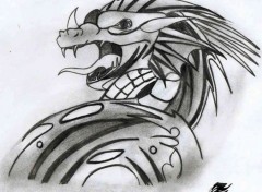 Wallpapers Art - Pencil Dragon de tatouage