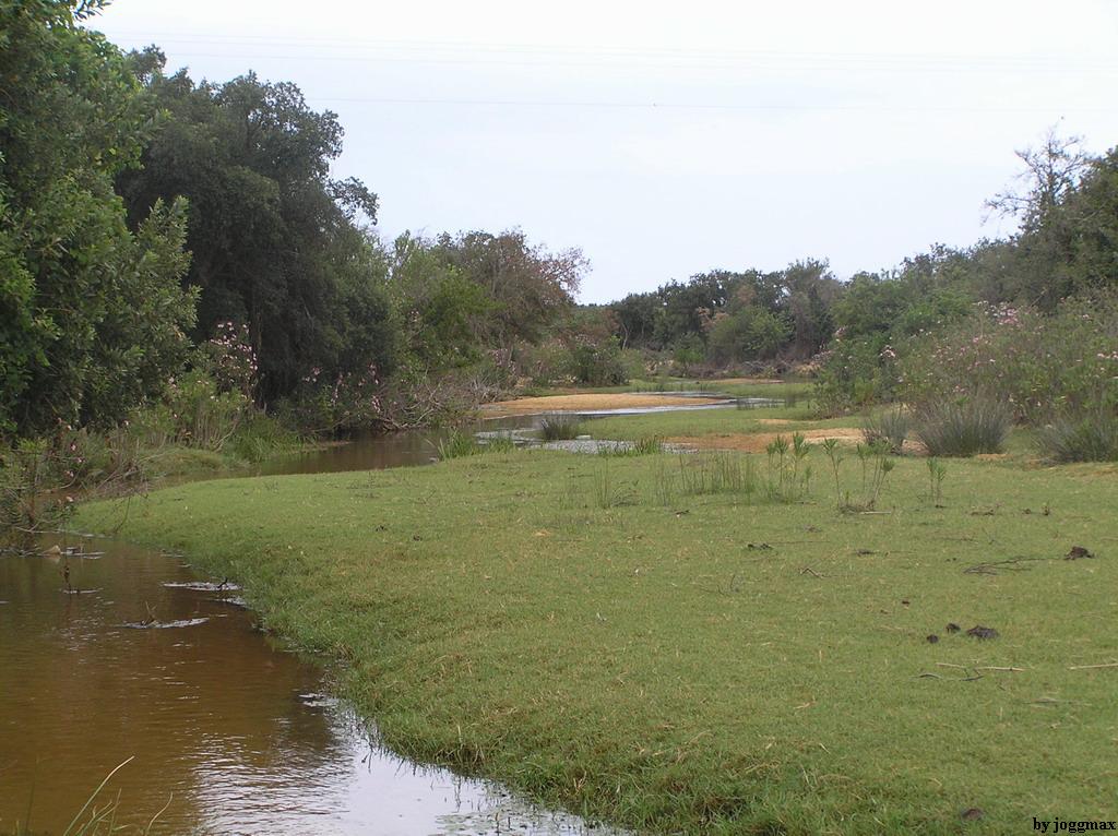 Wallpapers Nature Lakes - Ponds Tunisie