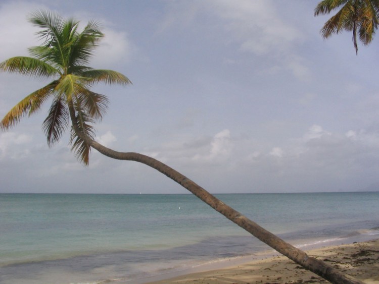 Fonds d'cran Nature Mers - Ocans - Plages Salines of Madinina 972 www.tuxboard.com