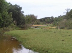 Fonds d'cran Nature Tunisie