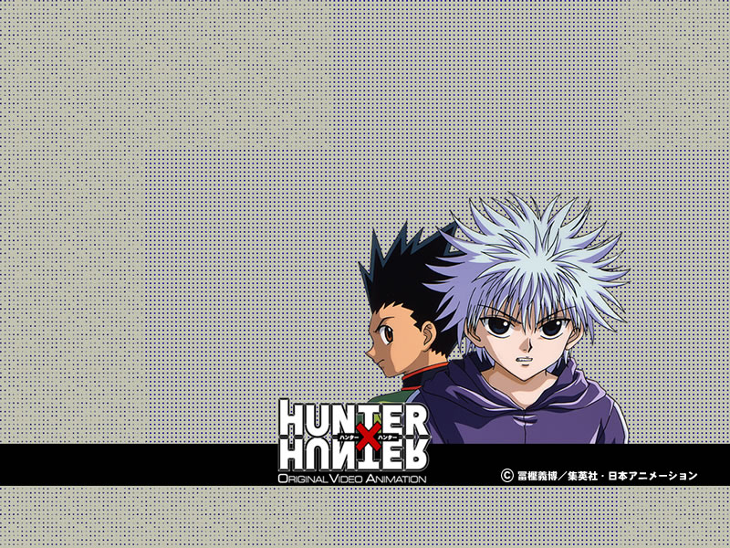 Fonds d'cran Manga Hunter x Hunter 