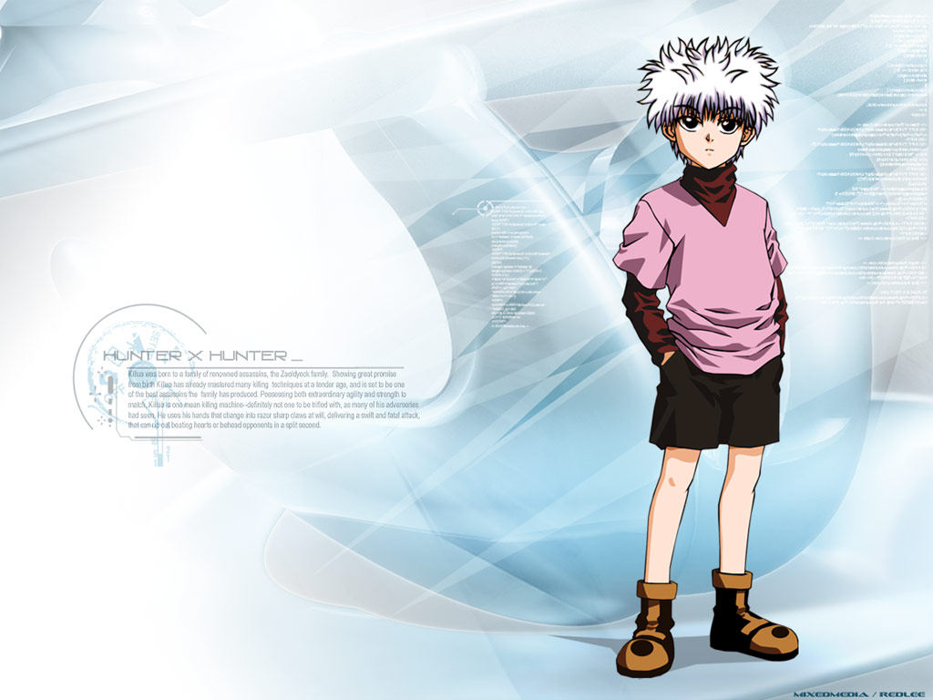 Fonds d'cran Manga Hunter x Hunter 