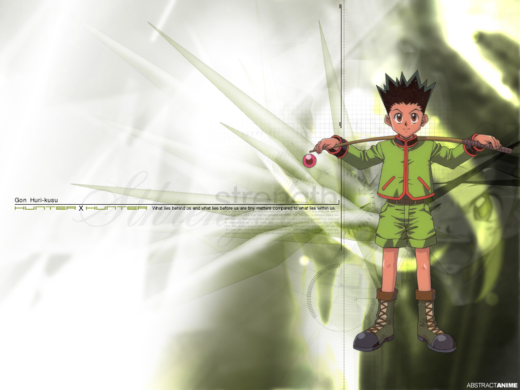 Fonds d'cran Manga Hunter x Hunter Gon