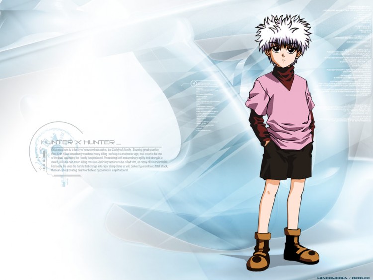 Fonds d'cran Manga Hunter x Hunter Wallpaper N76677