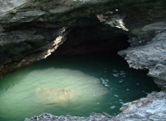 Fonds d'cran Nature Dans les rochers