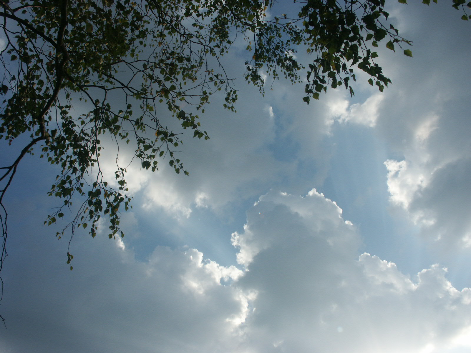 Fonds d'cran Nature Ciel - Nuages 