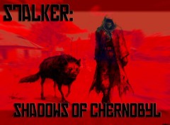 Fonds d'cran Jeux Vido Syalker shadows of chernobyl