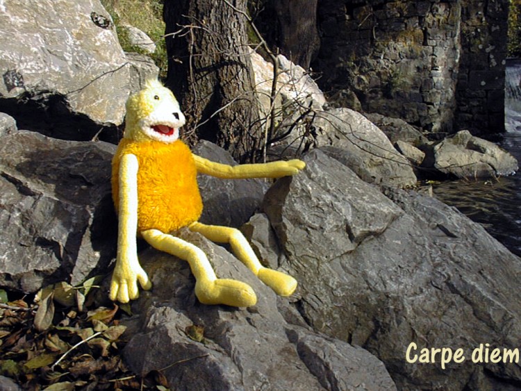 Fonds d'cran Musique Flat Eric Carpe diem