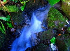 Fonds d'cran Nature NZ ~ River