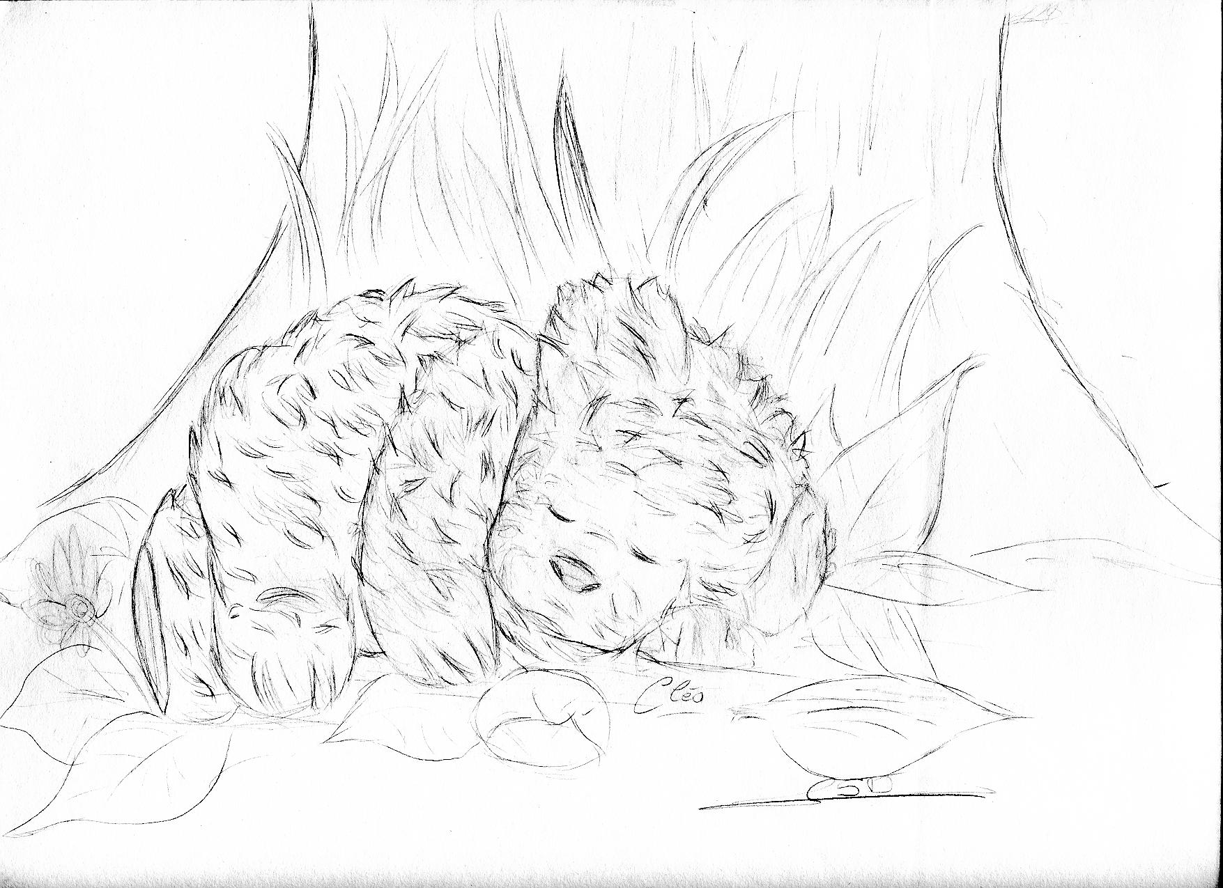 Wallpapers Art - Pencil Cuddly Clo