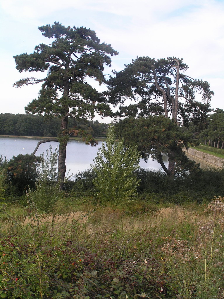 Fonds d'cran Nature Arbres - Forts parc de saint-quentin