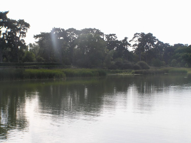 Fonds d'cran Nature Lacs - Etangs parc de saint-quentin