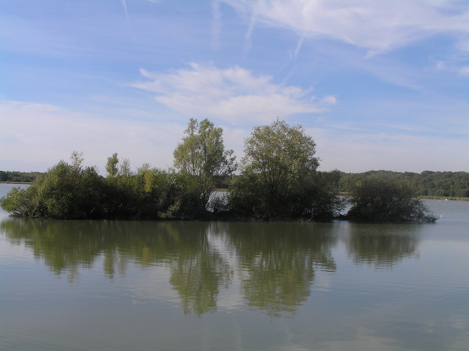 Fonds d'cran Nature Arbres - Forts parc de saint-quentin