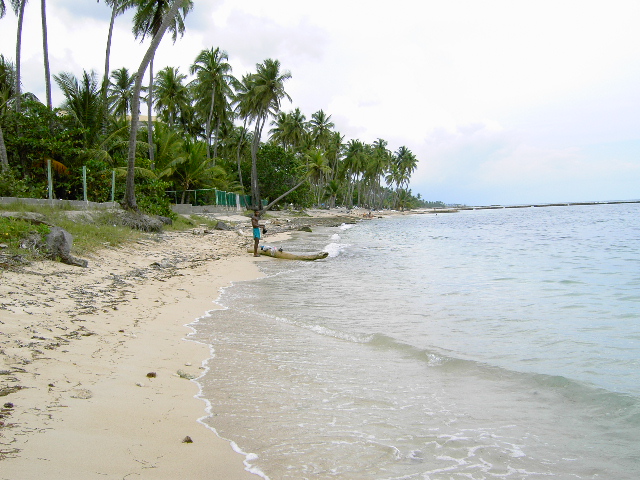 Fonds d'cran Nature Mers - Ocans - Plages plage Decameron