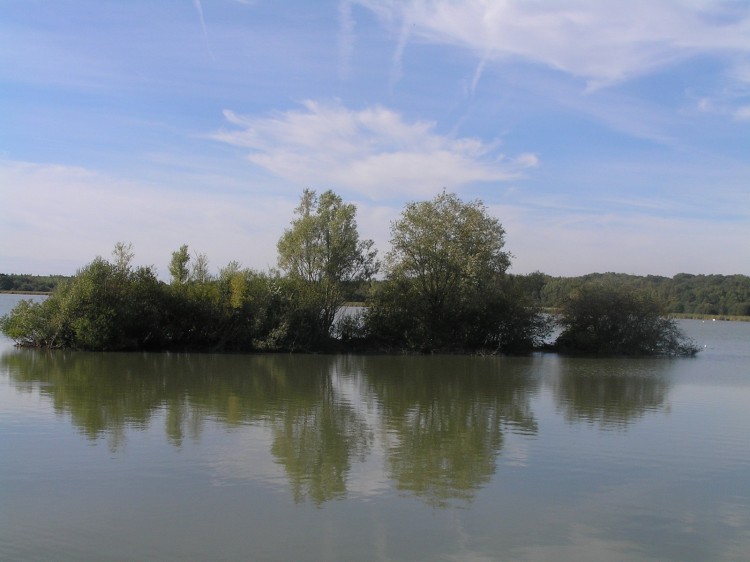 Fonds d'cran Nature Arbres - Forts parc de saint-quentin